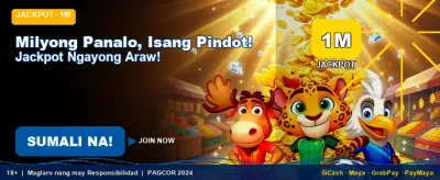 Playzone Sports Betting Interface